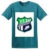 Parkview NURSES - Softstyle ® T Shirt Thumbnail