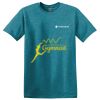 Parkview NURSES - Softstyle ® T Shirt Thumbnail