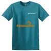 Parkview NURSES - Softstyle ® T Shirt Thumbnail