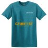 Parkview NURSES - Softstyle ® T Shirt Thumbnail
