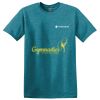 Parkview NURSES - Softstyle ® T Shirt Thumbnail