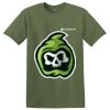 TECHS Parkview - Softstyle ® T Shirt Thumbnail
