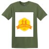 TECHS Parkview - Softstyle ® T Shirt Thumbnail
