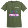 TECHS Parkview - Softstyle ® T Shirt Thumbnail