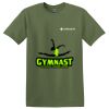 TECHS Parkview - Softstyle ® T Shirt Thumbnail