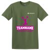 TECHS Parkview - Softstyle ® T Shirt Thumbnail