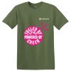 TECHS Parkview - Softstyle ® T Shirt Thumbnail
