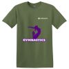 TECHS Parkview - Softstyle ® T Shirt Thumbnail
