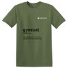 TECHS Parkview - Softstyle ® T Shirt Thumbnail