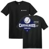 Parkview - Wholesale Veteran Softstyle ® T Shirt Thumbnail